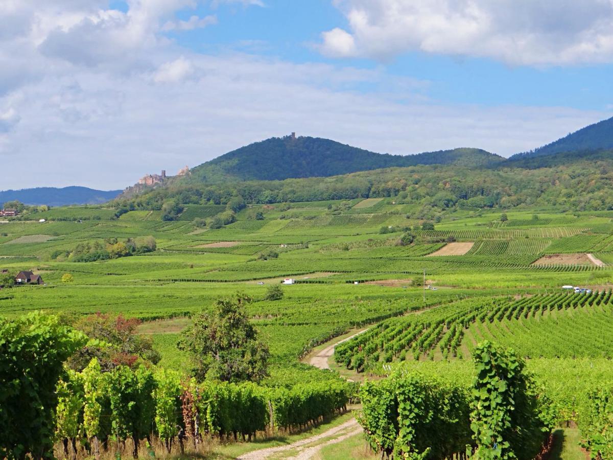 شقة Au Coeur Des Vignes برغهايم المظهر الخارجي الصورة