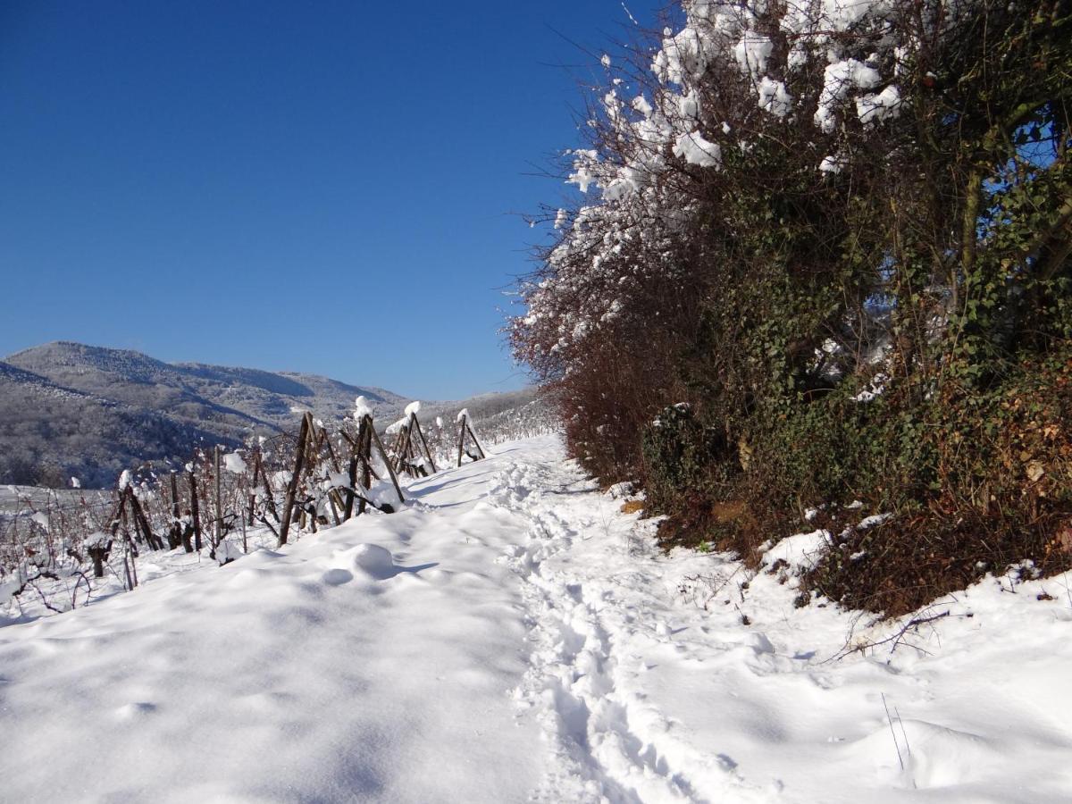 شقة Au Coeur Des Vignes برغهايم المظهر الخارجي الصورة