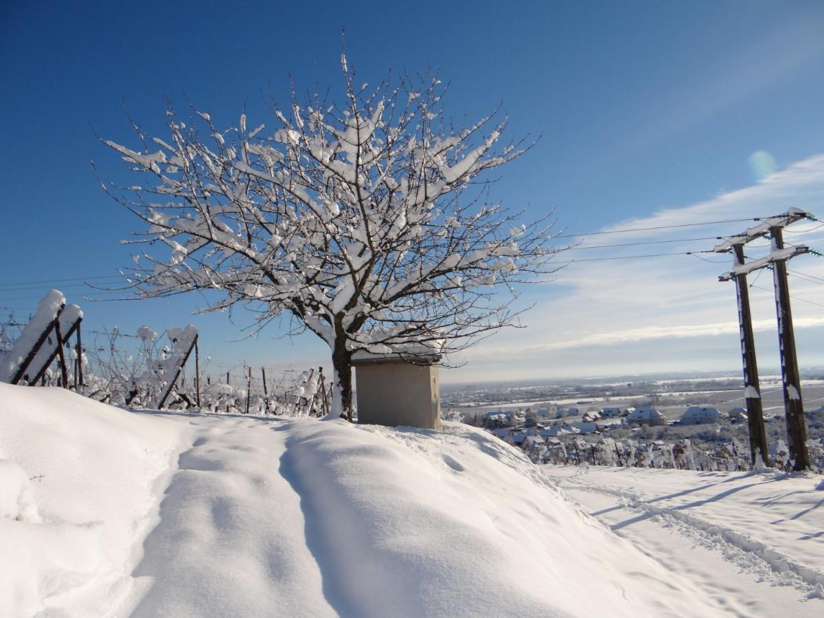 شقة Au Coeur Des Vignes برغهايم المظهر الخارجي الصورة