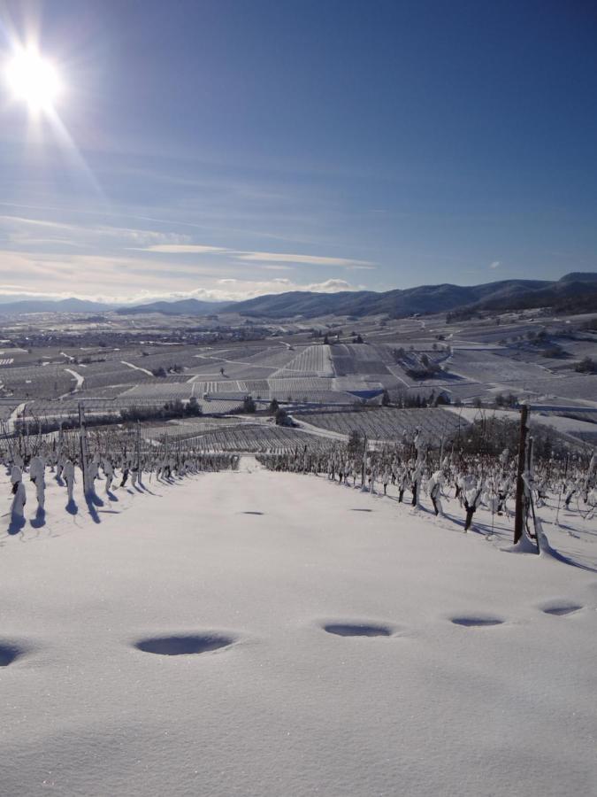 شقة Au Coeur Des Vignes برغهايم المظهر الخارجي الصورة