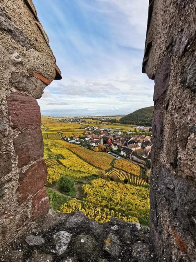 شقة Au Coeur Des Vignes برغهايم المظهر الخارجي الصورة